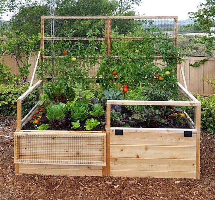 Raised Garden Bed Ideas