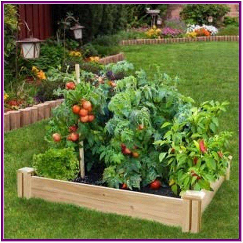 Small Edible Garden Ideas