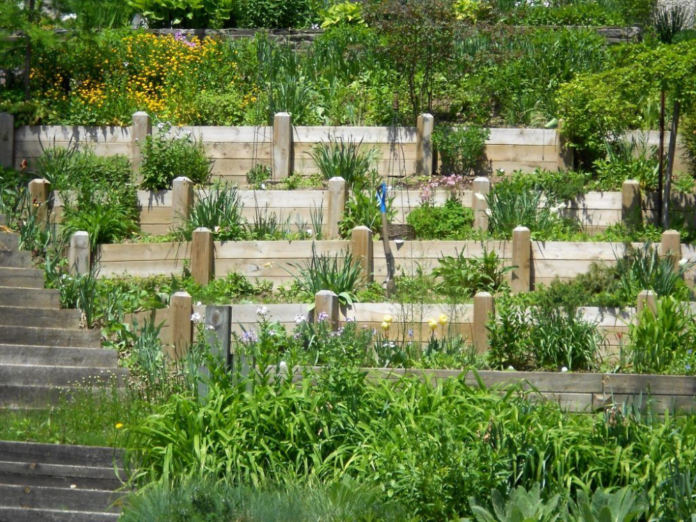 A Terraced Garden