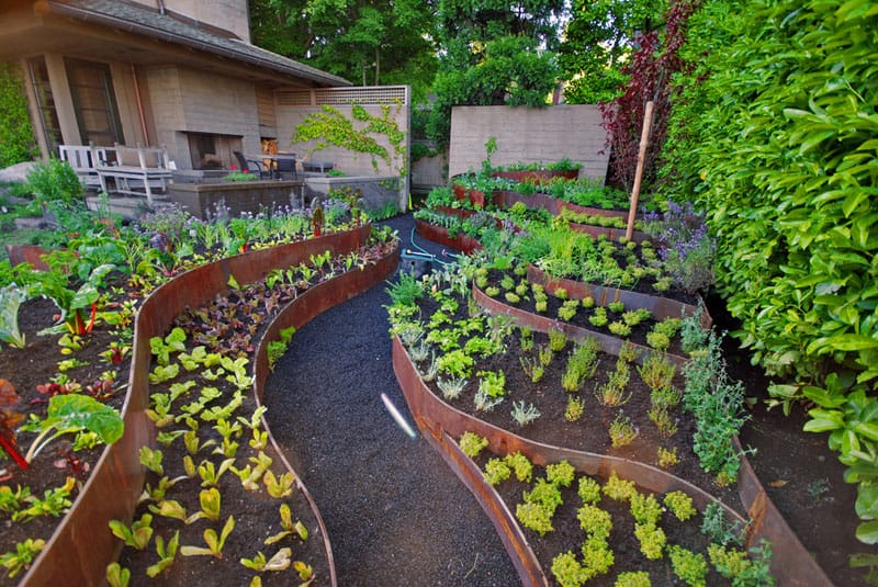 Modern Terraced Garden