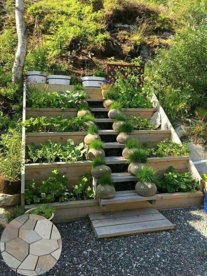 Modern Terraced Vegetable