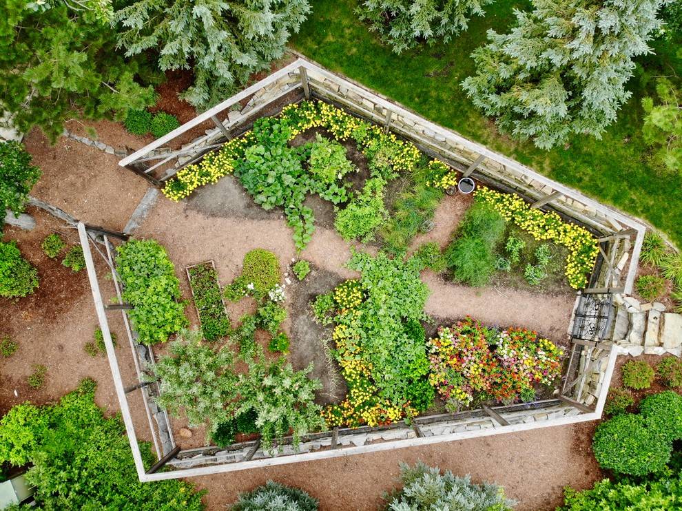 Enclosed Vegetable Garden Ideas