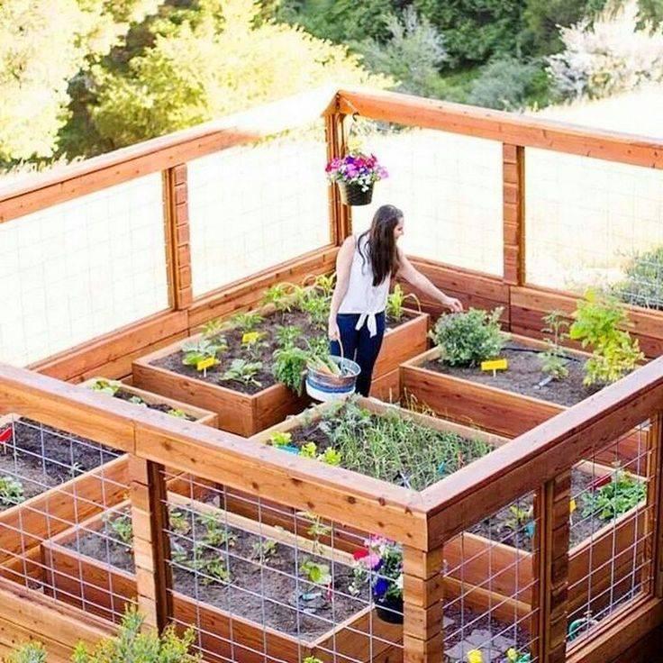 Enclosed Vegetable Garden Photos