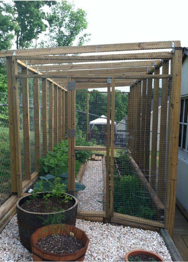 Enclosed Vegetable Garden Photos