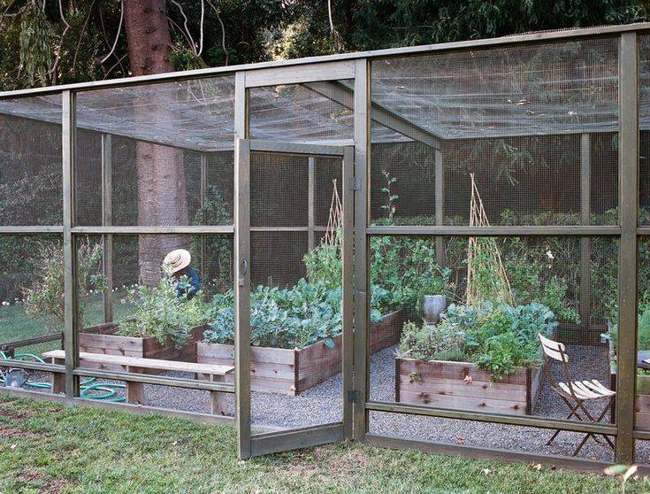 Enclosed Vegetable Garden Plans Diy Enclosed Backyard Ve Able Garden