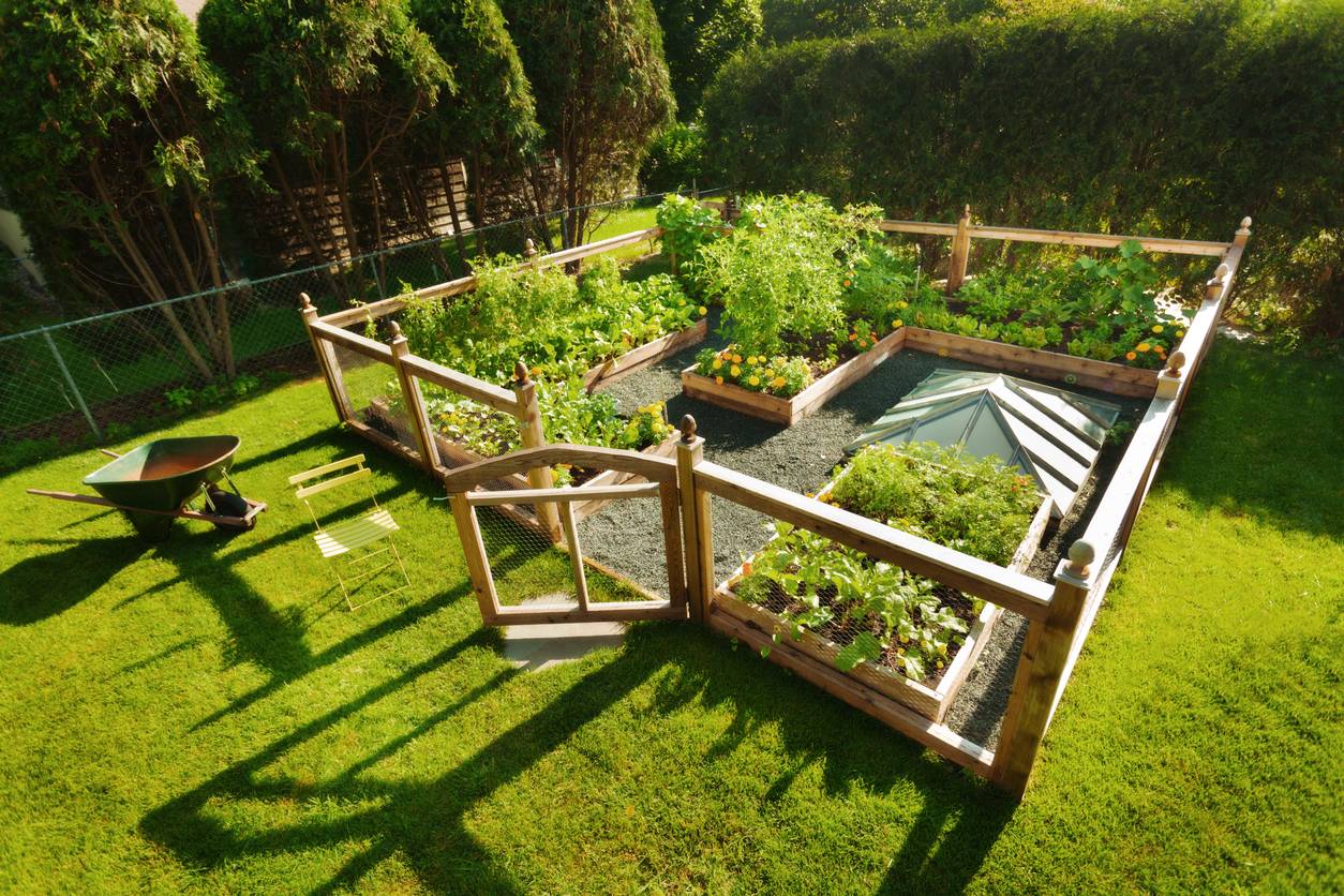 Enclosed Vegetable Garden Rustic Landscape Minneapolis