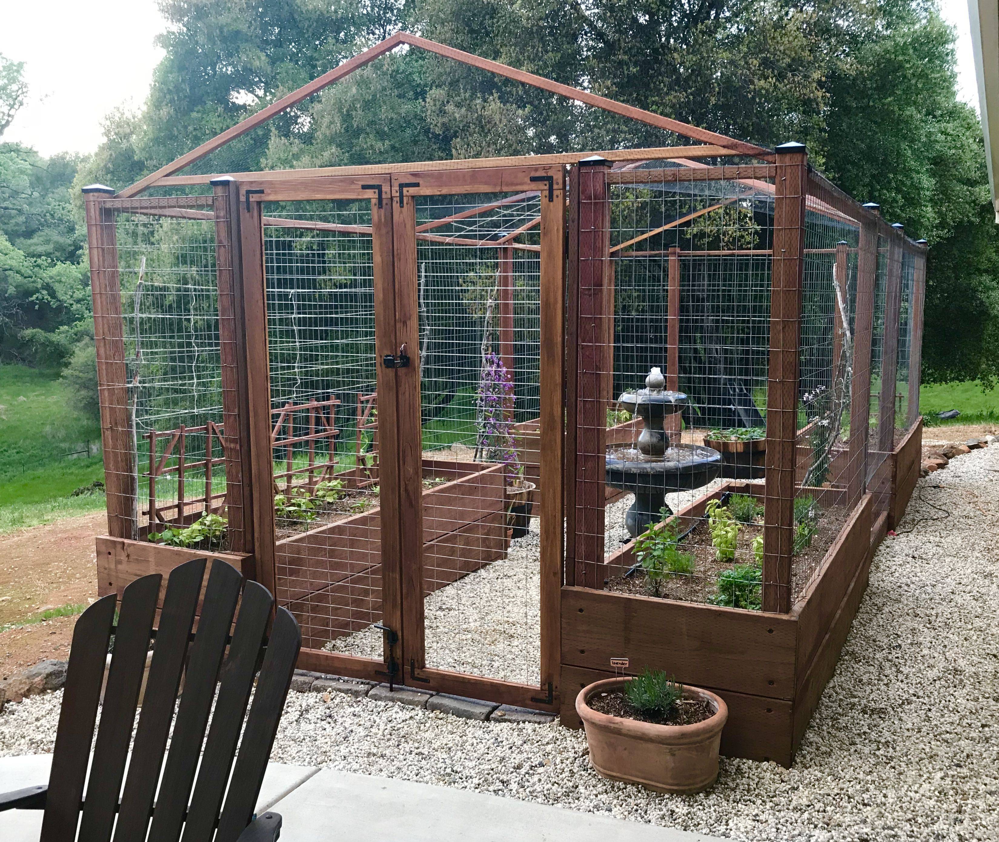 Enclosed Vegetable Garden