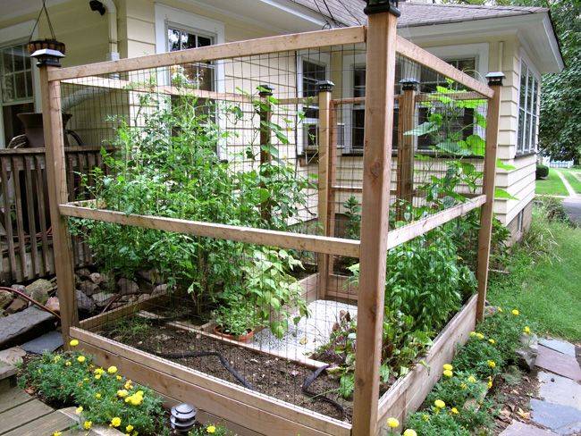 Vegetable Garden Design