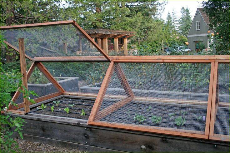 Small Enclosed Vegetable Garden Home Vegetable Garden