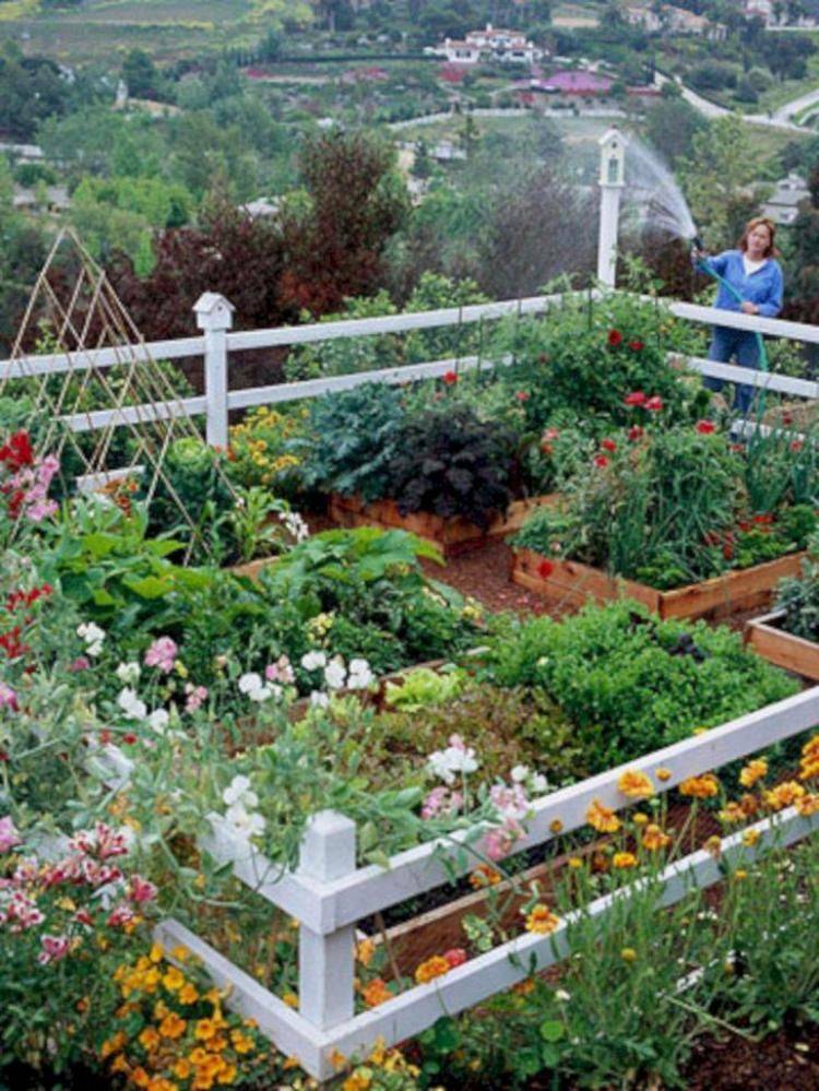 Simple Diy Vegetable Garden Design Ideas