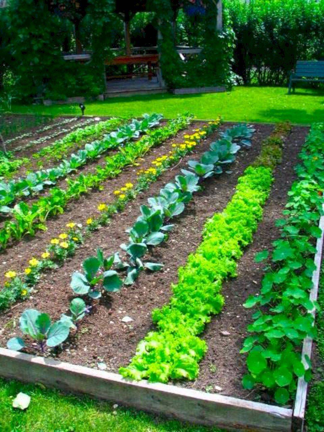 16 Simple Vegetable Garden Ideas You Gonna Love SharonSable