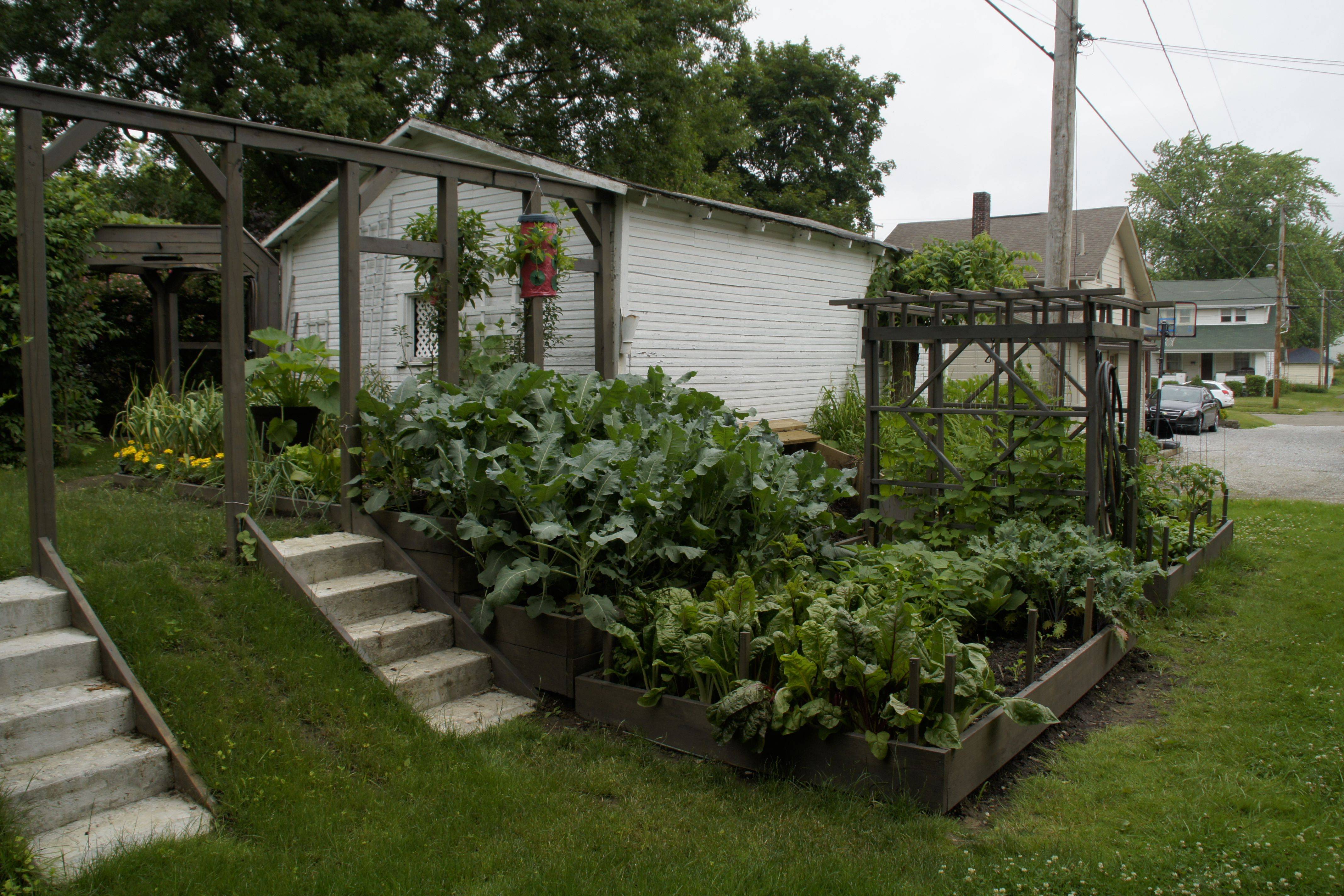 The Best Diy Vegetable Garden Ideas
