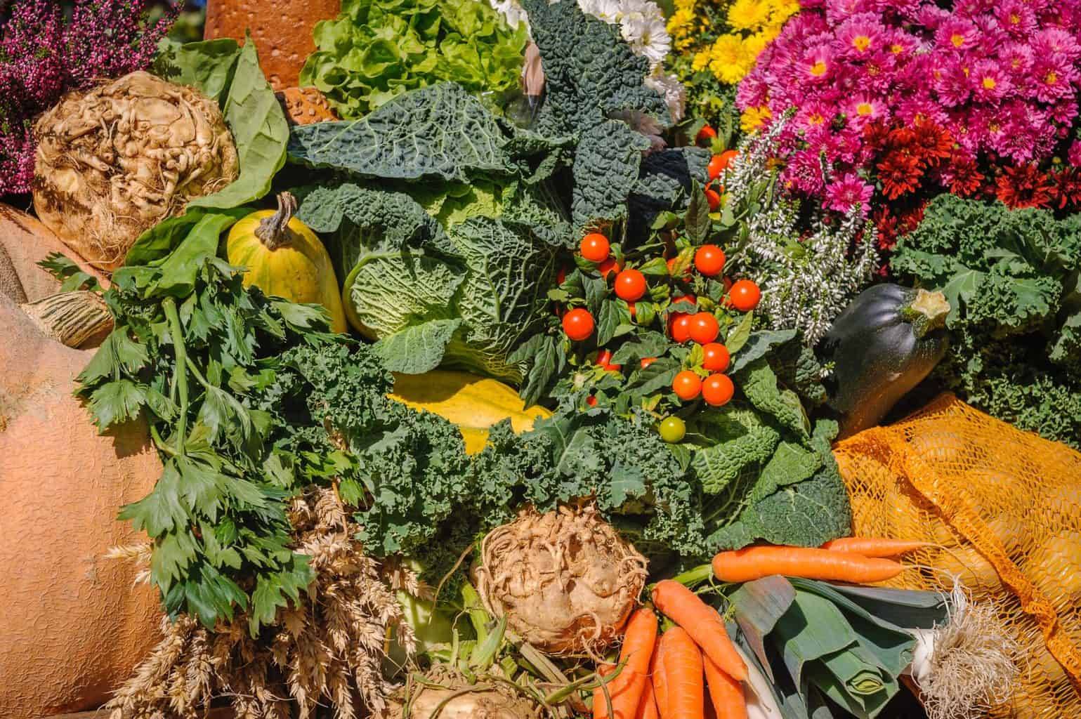 Creative And Inspiring Raised Bed Vegetable Garden Ideas