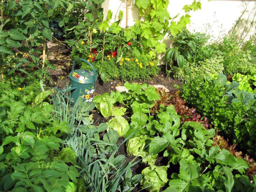 Fantastic Vegetable Garden Design Ideas You Should Try Garden Easy
