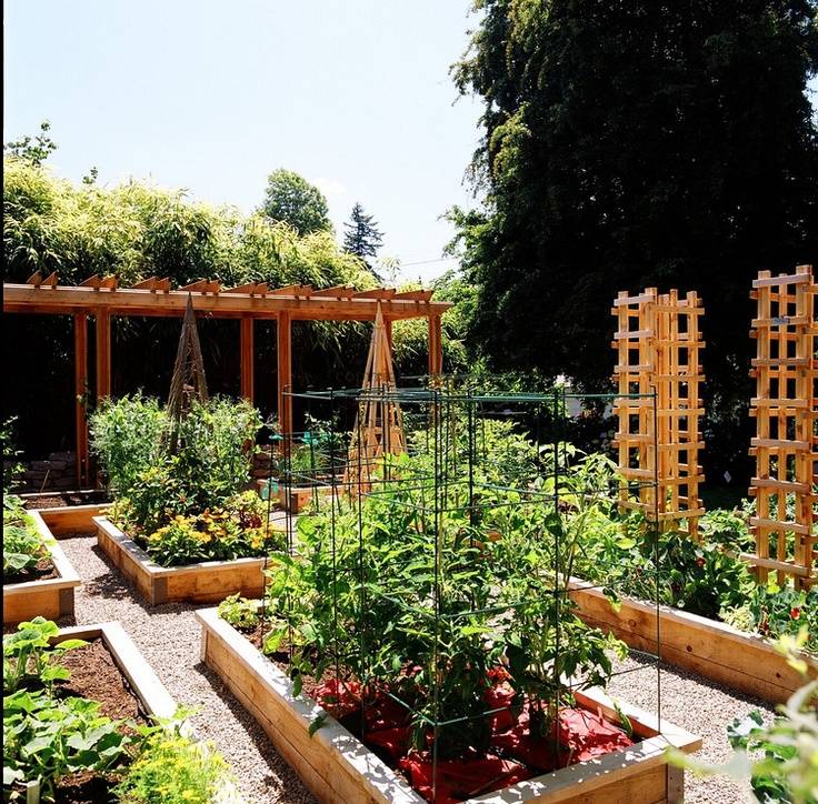 This Summer Vegetable Garden Design