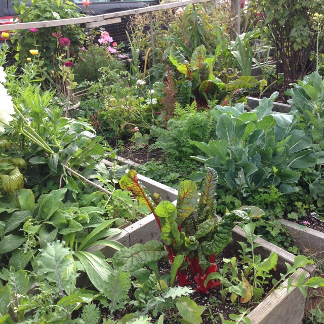 The Summer Vegetable Garden