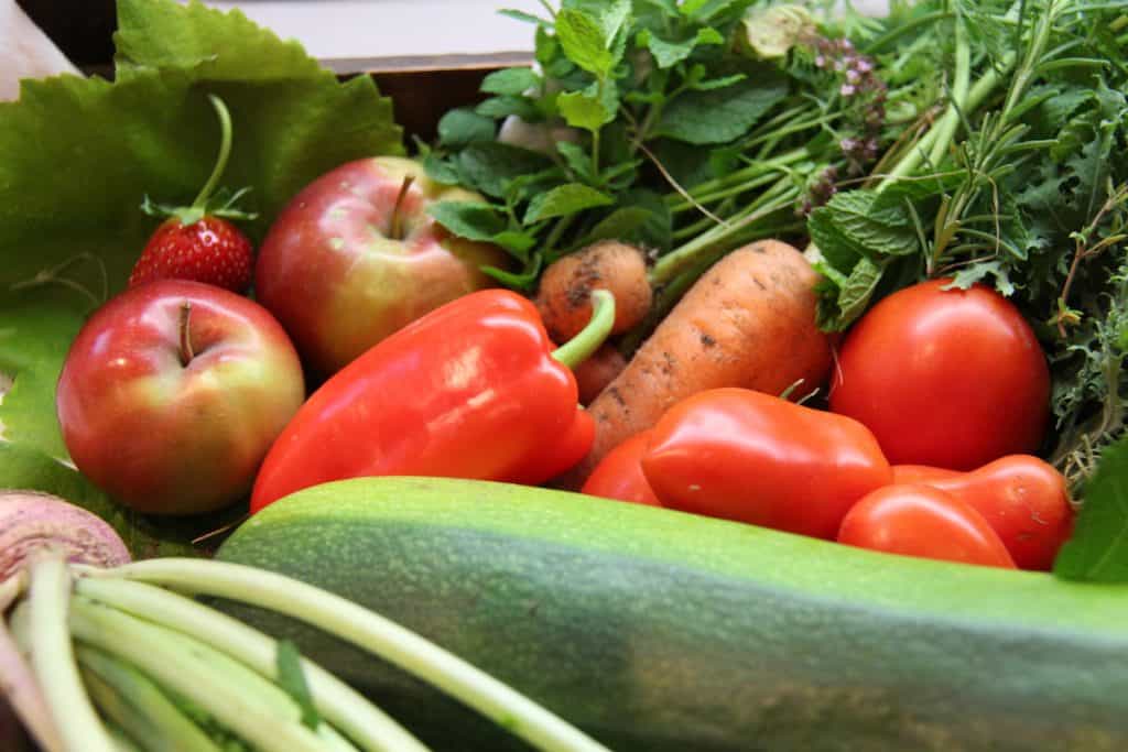 Summer Vegetables
