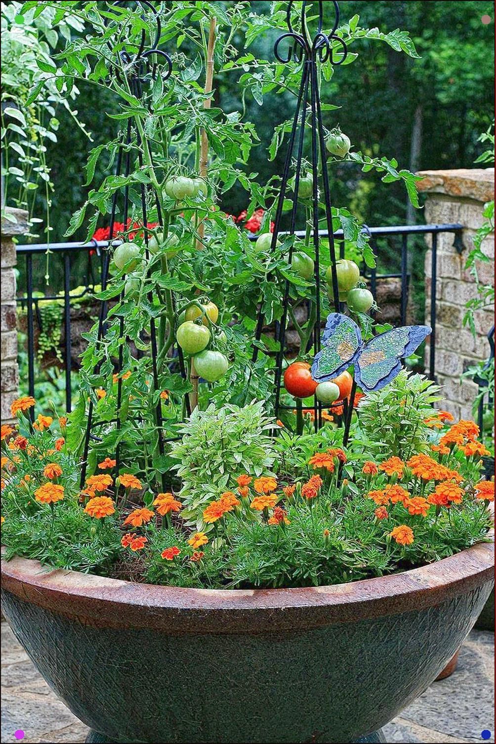 Vegetable Gardening Wallpaper Wallpapersafari