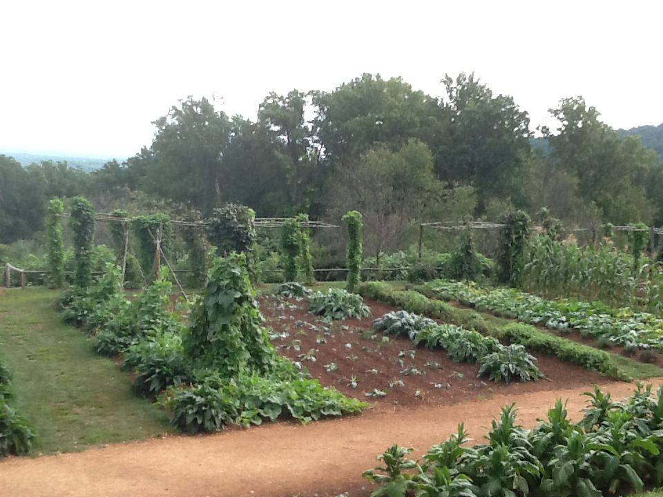 18 Southern Vegetable Garden Ideas Worth to Check | SharonSable
