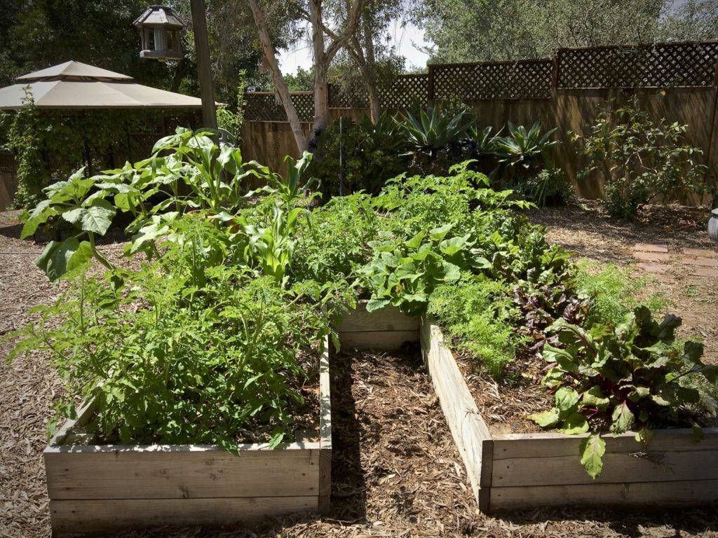A Coolseason Vegetable Garden Sunset Magazine