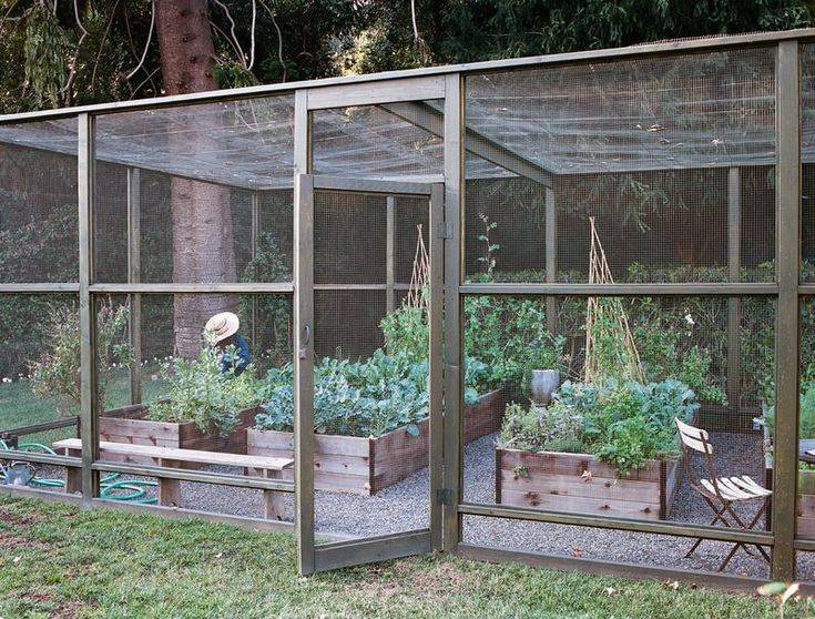 Impressive Vegetable Garden Designs