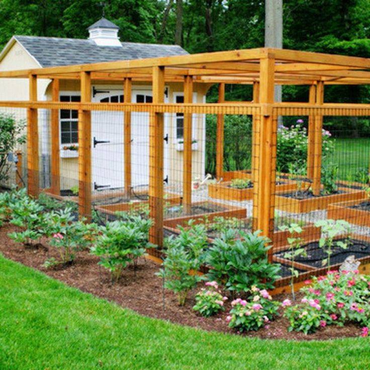 Enclosed Vegetable Garden Rustic Landscape Minneapolis