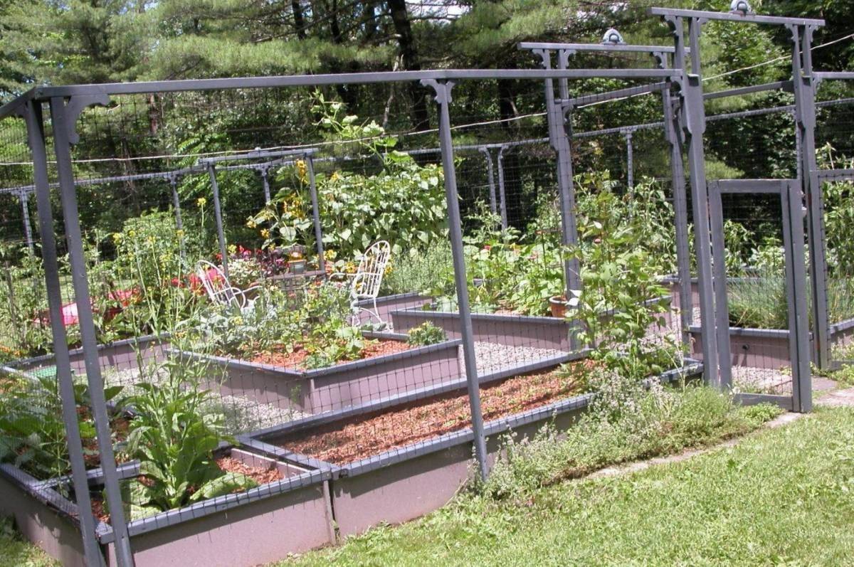 Raised Vegetable Garden Beds
