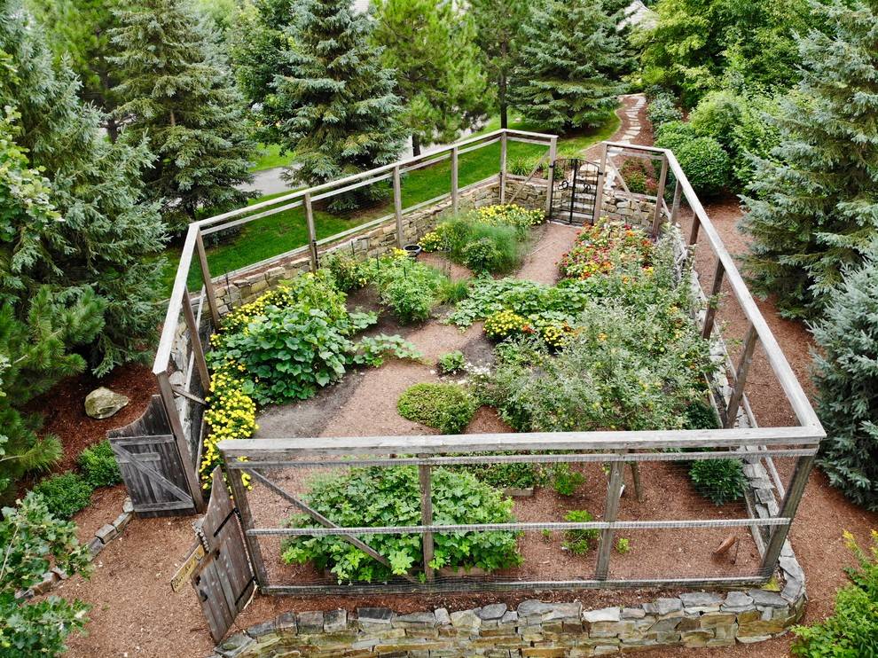 Enclosed Vegetable Garden Home Design Idea