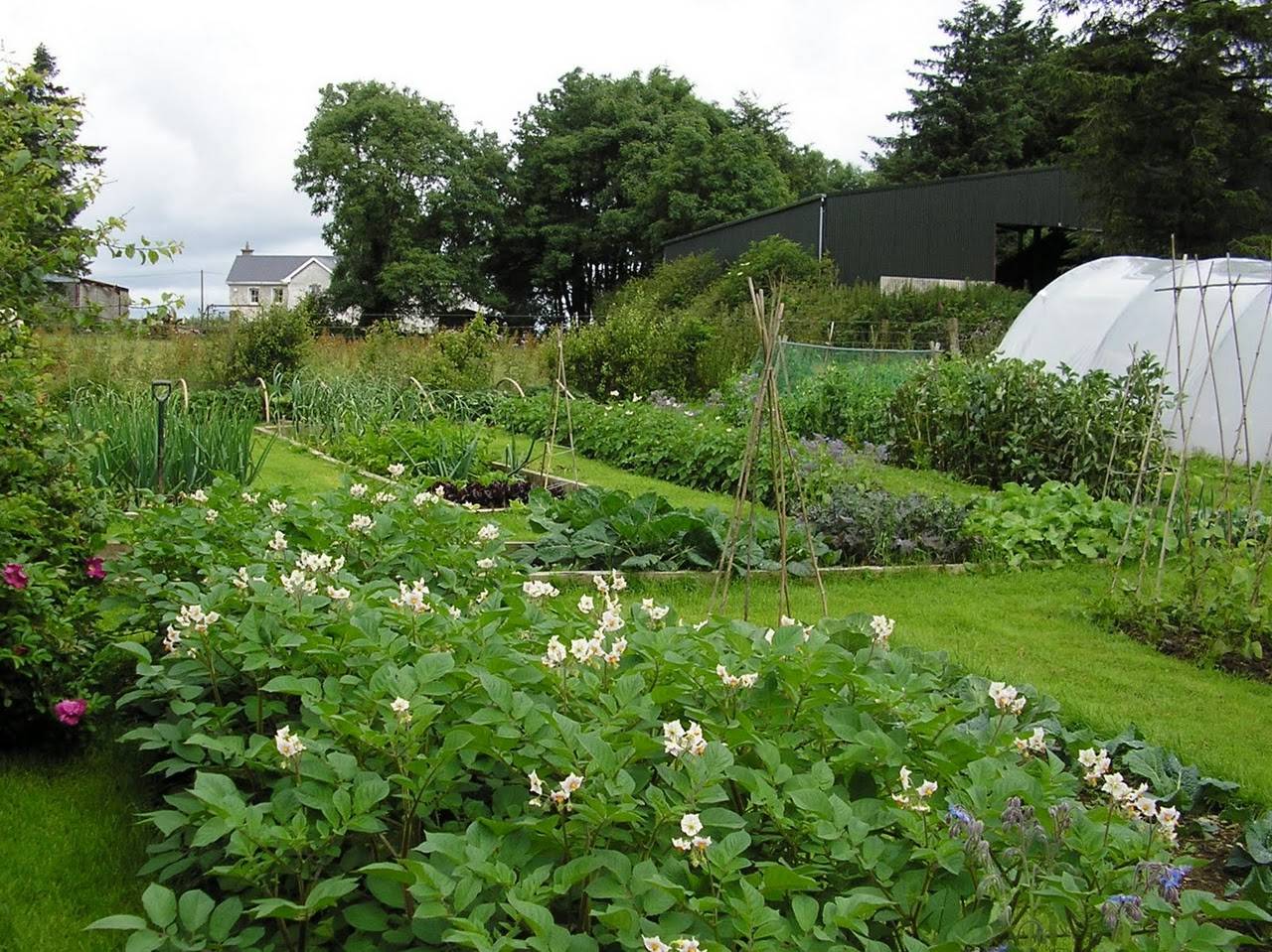 Backyard Vegetable Garden Layout Vegetable Garden Layout