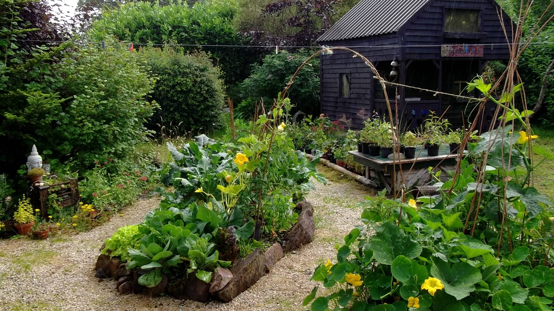 Edible Gardening