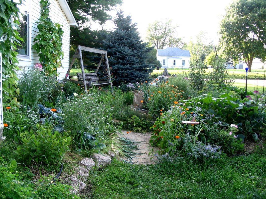 19 Traditional Vegetable Irish Garden Ideas For This Year SharonSable