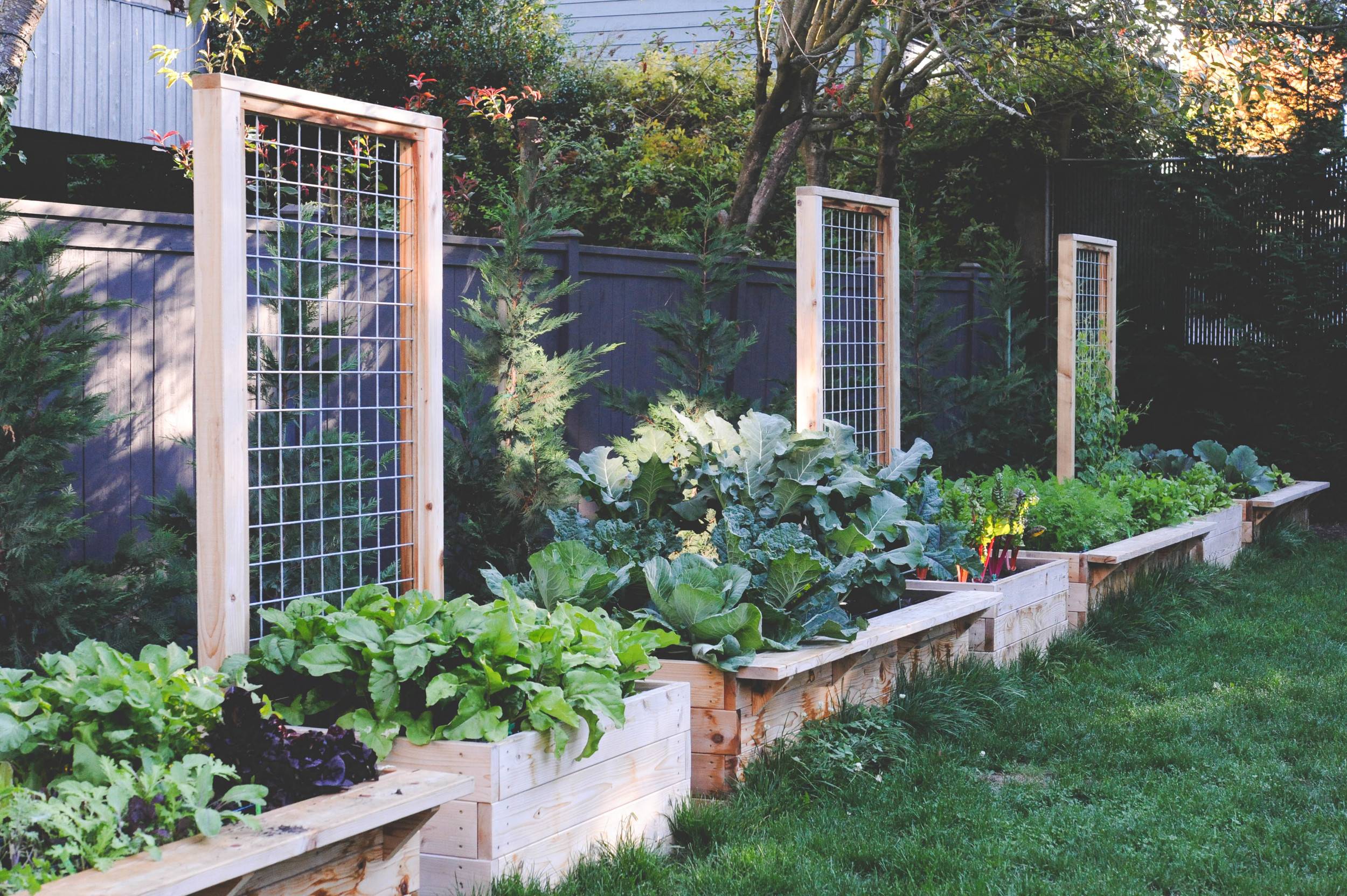 Raised Bed Garden Design Ideas