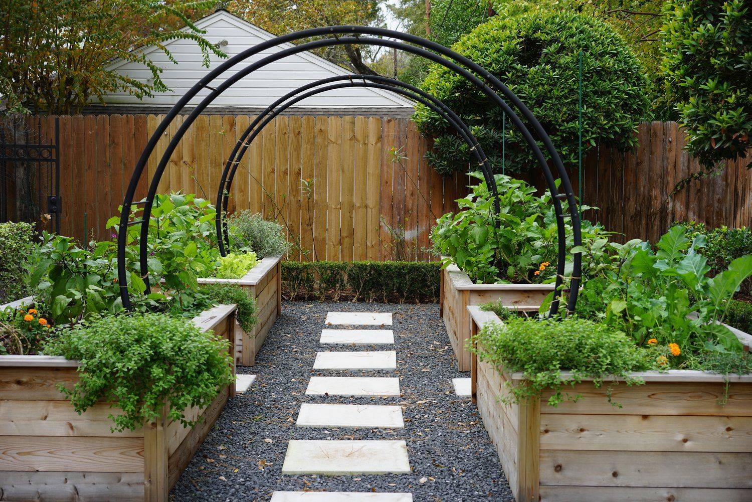 Garden Update Tomato Trellis