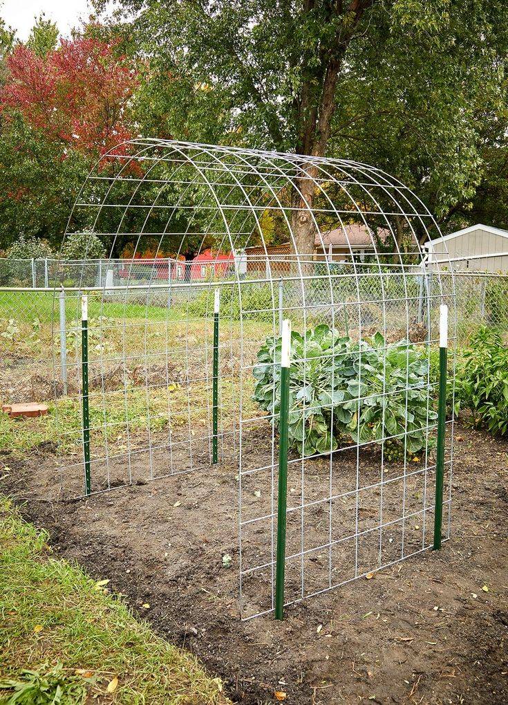 Vegetable Garden Trellis Ideas Simphome