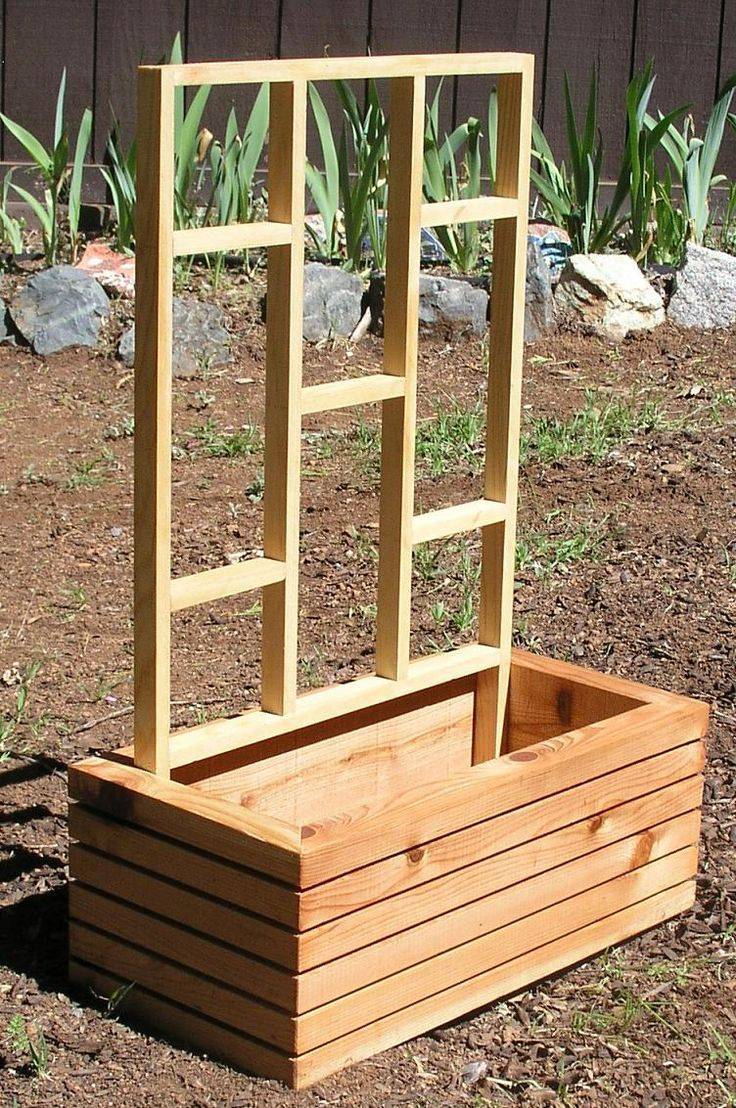 Diy Arbor And Trellis Ideas