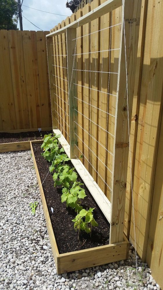 Custom Trellis Raised Planters