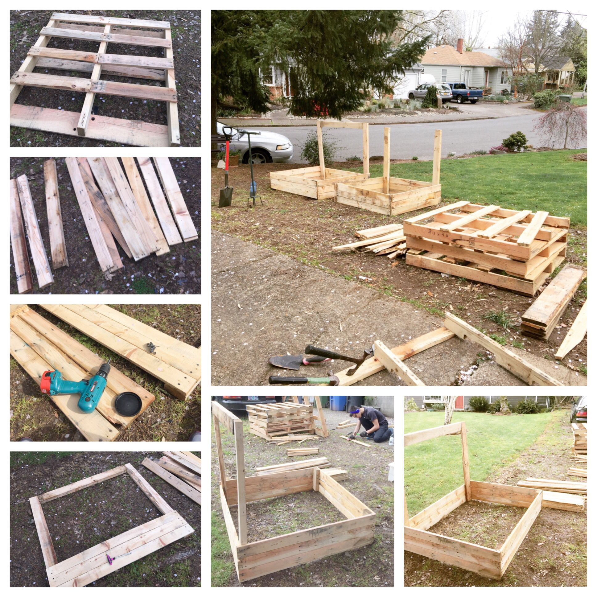 Top Gorgeous Trellis Ideas