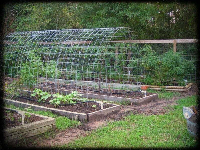 A Rustic Cedar Arbor