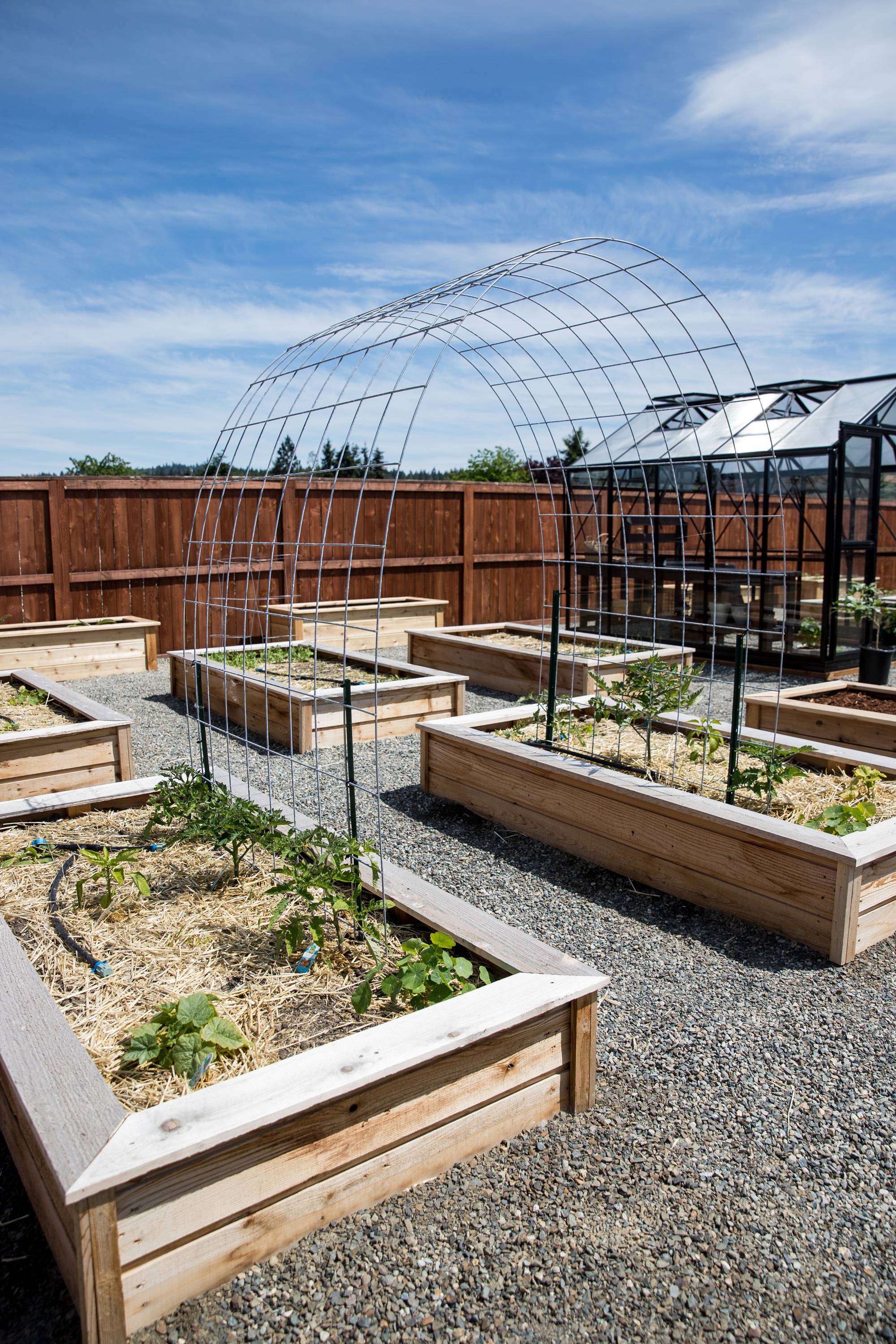 Arch Trellis Kit