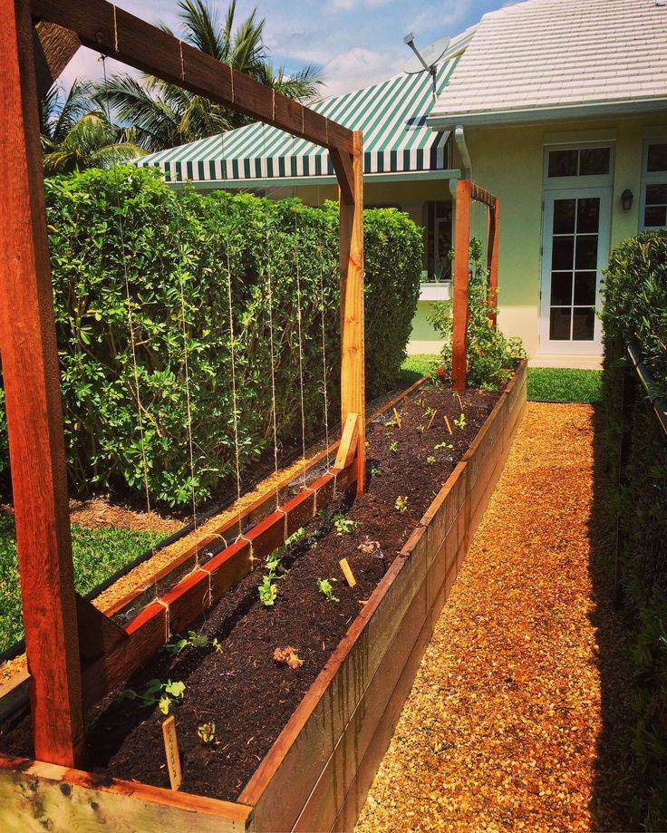 Raised Bed Garden Arch Trellis