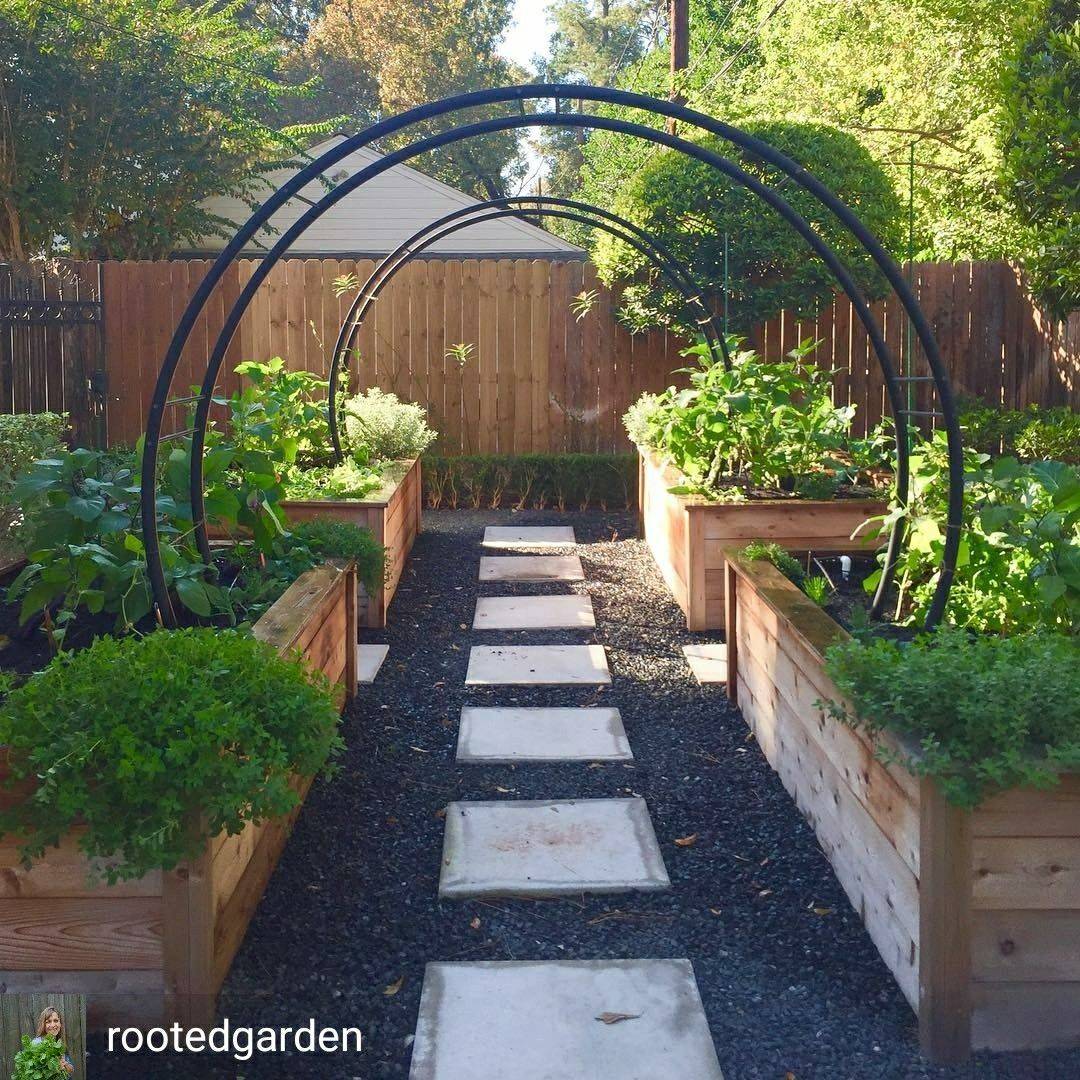 Raised Bed Garden Arch Trellis