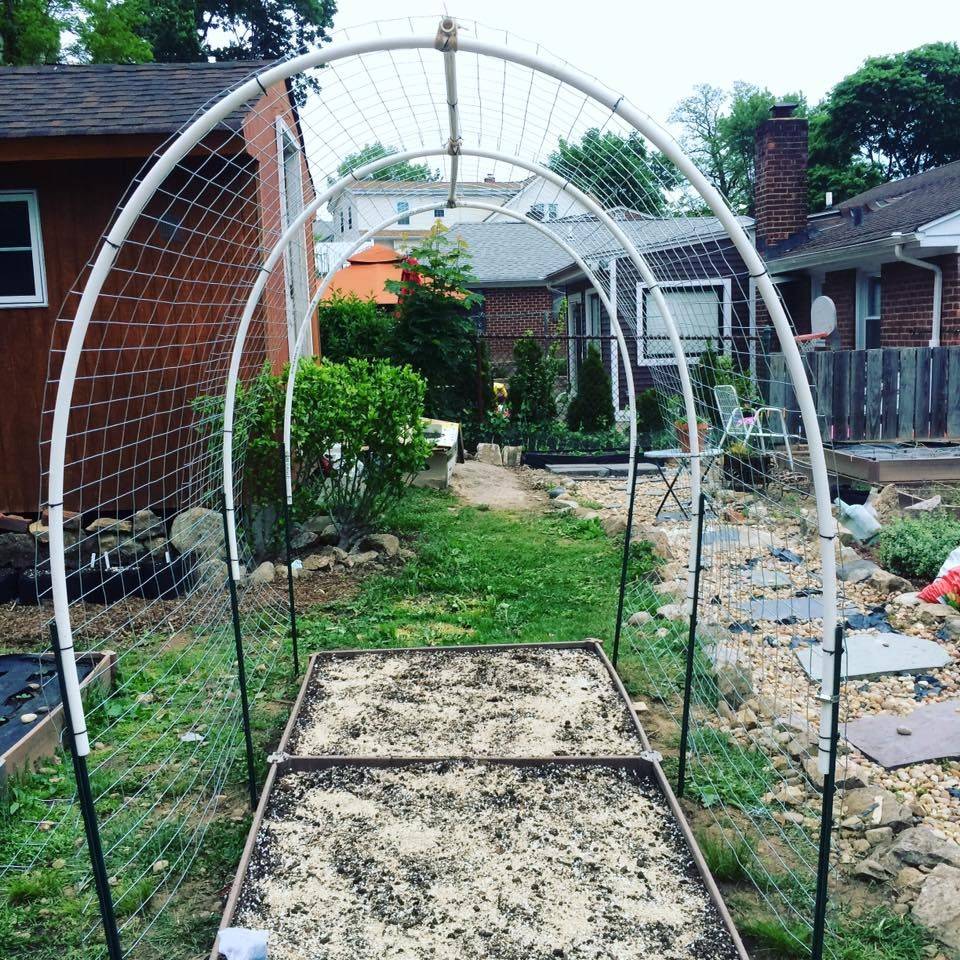 Raised Bed Garden Arch Trellis