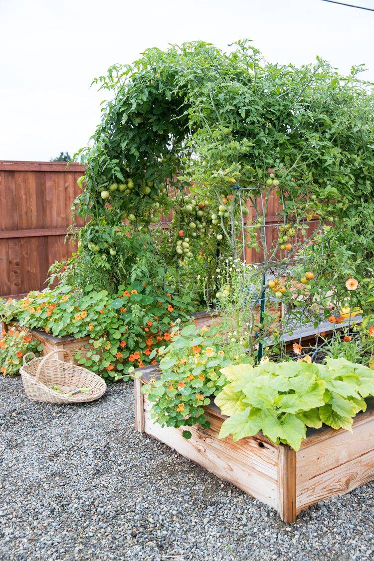 Raised Bed Trellis Garden Trellis