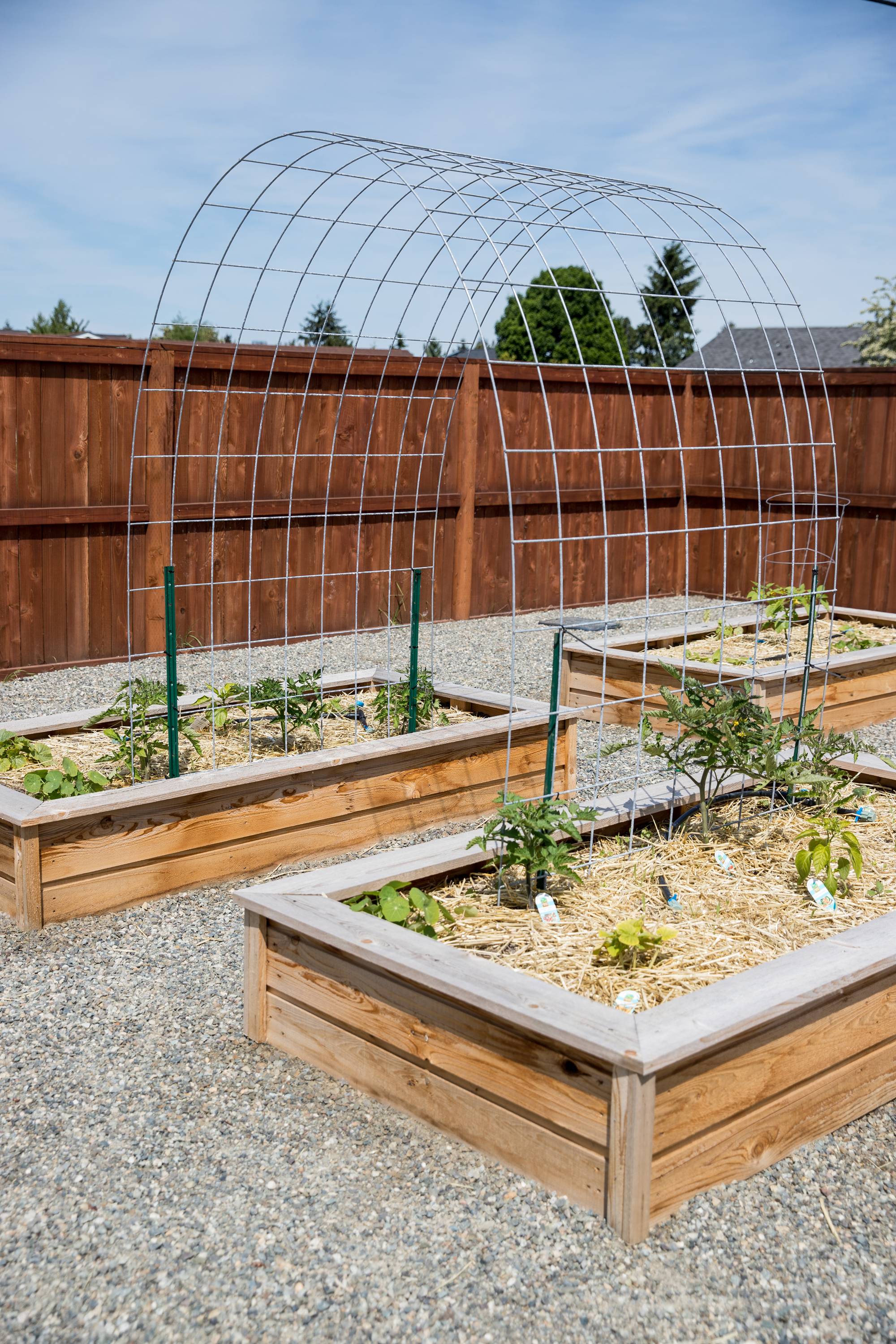 Small Backyard Landscaping