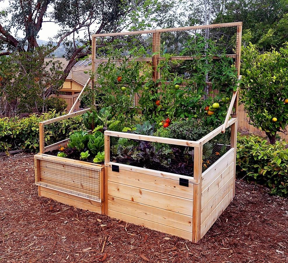 Hinged Fencing And Trellis