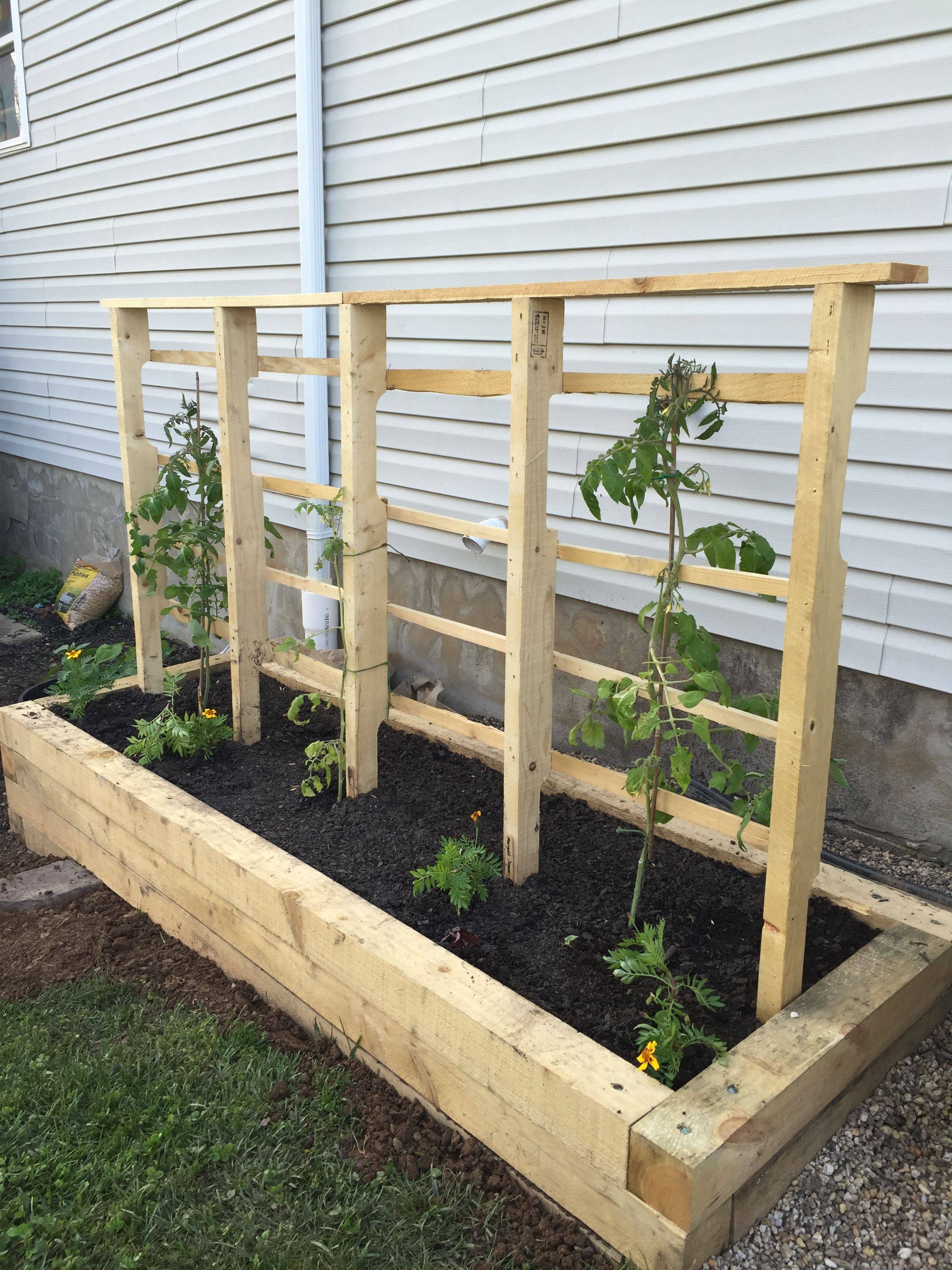 Hinged Fencing And Trellis