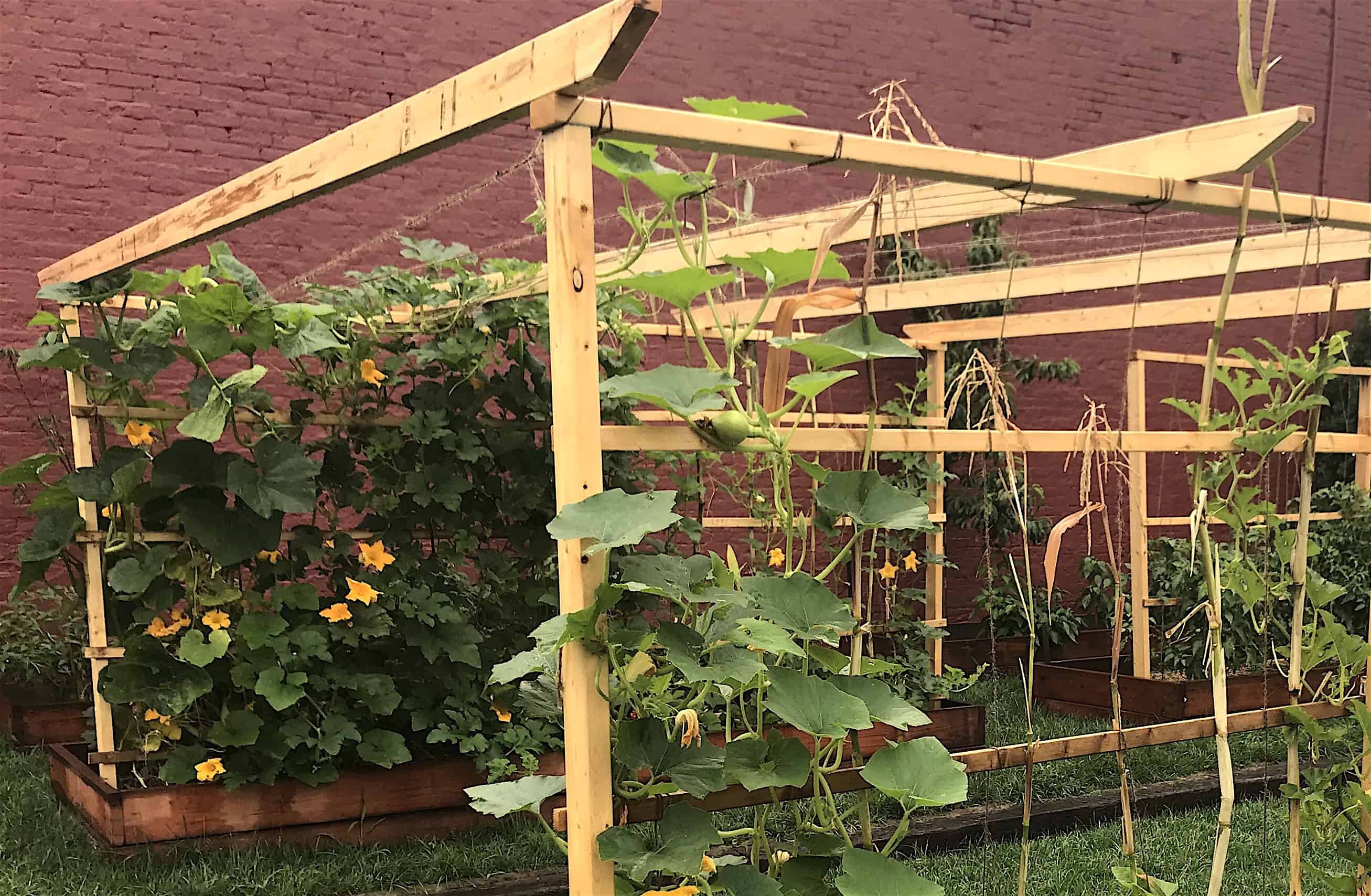 Amazing Beautifull Diy Trellis