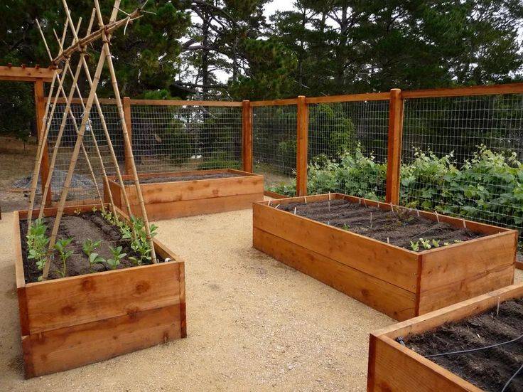 Black Raised Garden Beds