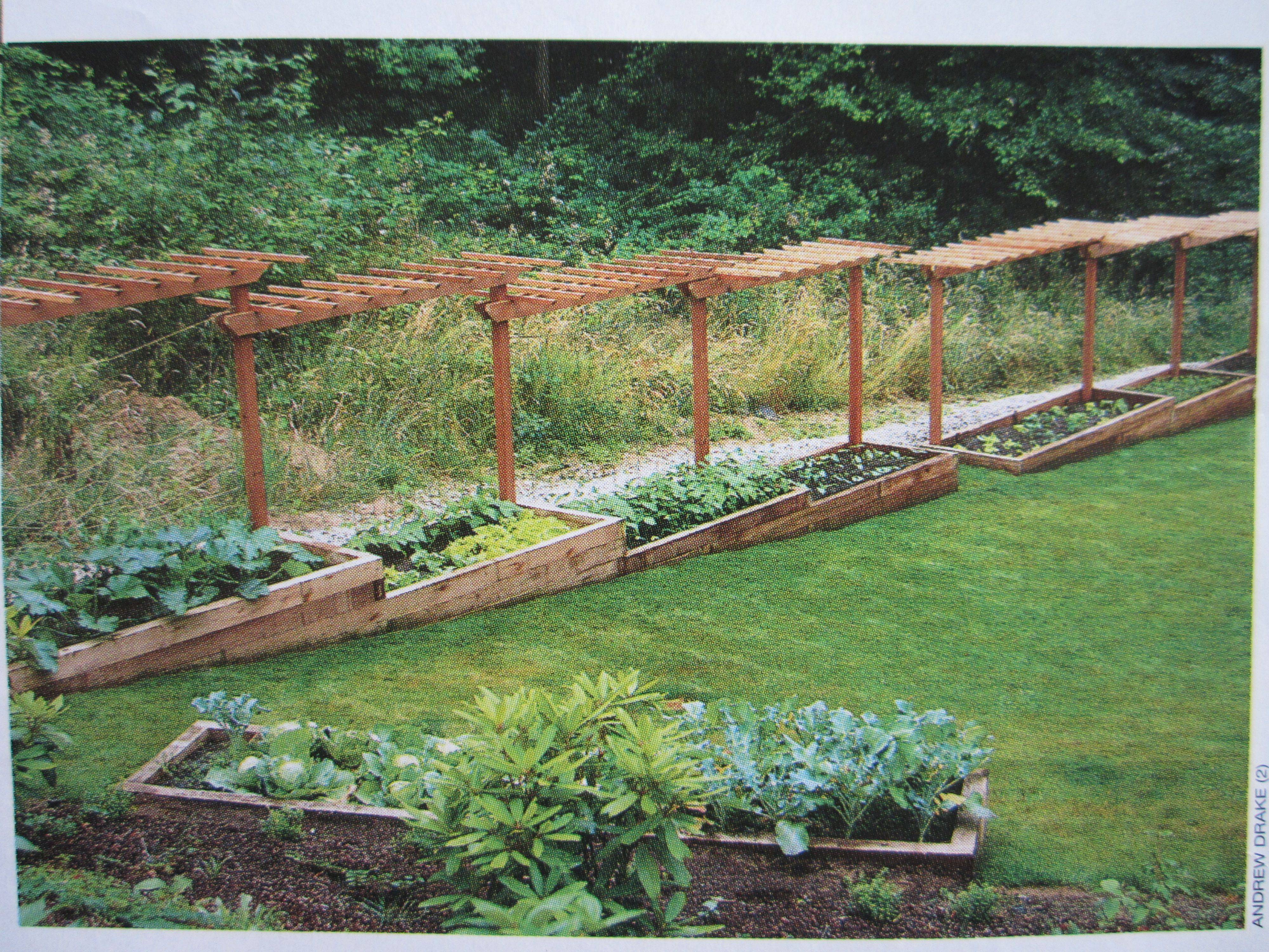 The Raised Bed Garden