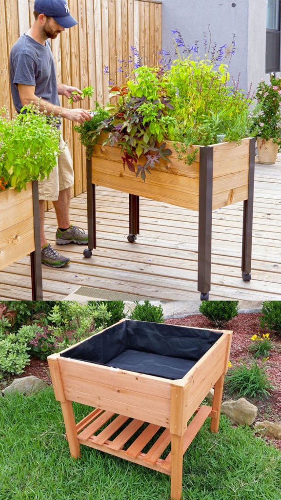 Two Raised Garden Beds
